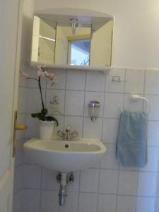 バラトンレッレにあるStefan Apartmentsのバスルーム(鏡、鉢植えの植物付)