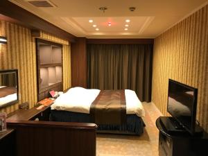 una habitación de hotel con una cama y un televisor en Kagoshima Coconuts Resort Marina (Love Hotel), en Kagoshima