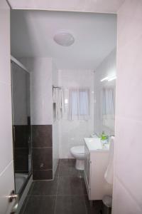 une salle de bain avec un lavabo, des toilettes et une douche dans l'établissement Bajo Izq, à Tolède