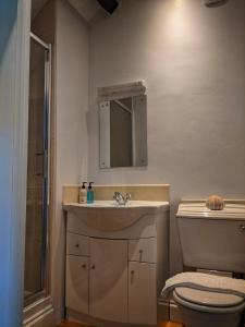 a bathroom with a sink and a toilet and a mirror at Park House in Ingleby Arncliffe