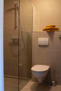 a bathroom with a toilet and a glass shower at B&B De Hoffstal in Sassenheim