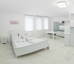 Gallery image of Corso Lux Apartman in Gyula