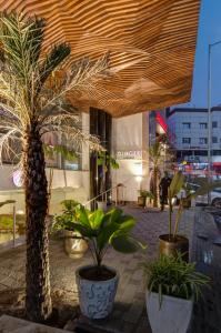 a group of potted trees and plants on a sidewalk at Ginger Surat City Centre in Surat