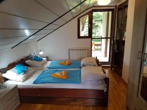 a bedroom with two beds in a room at Nena & Rale Rooms in Donji Milanovac