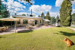 Zahrada ubytování Camping Hitjesvijver