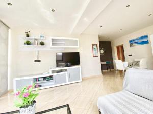 a living room with a couch and a tv at Apartamentos Paraíso in Albir