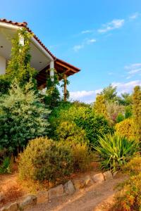 dom z krzakami i drzewami w obiekcie Vineyard Country House with Panoramic Seaview w Aleksandropolis