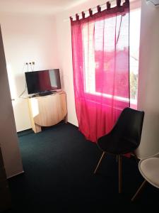 TV a/nebo společenská místnost v ubytování Thomas Panzió