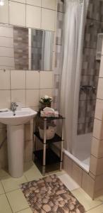 ein Badezimmer mit einer Dusche, einem Waschbecken und einer Badewanne in der Unterkunft Isabela Apartments in Palanga
