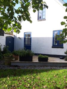 Pegasus Bed & Breakfast في هيليرود: منزل به نوافذ زرقاء ونباتات الفخار