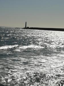 Billede fra billedgalleriet på Ground Floor Apartment i Montrose + 8 billeder