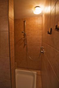 a bathroom with a shower and a toilet at Haus Talblick in Stocksberg