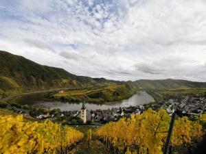 Blick auf eine Stadt mit einem Fluss und einer Stadt in der Unterkunft Seppl in Bremm