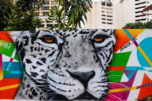 Galeriebild der Unterkunft Zebulo Hostel in Panama-Stadt