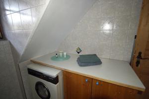 ein Badezimmer mit einer Theke und einer Waschmaschine in der Unterkunft Straniger Alm in Stranig