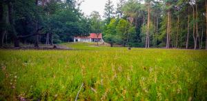 Kebun di luar Vakantiehuis de Weeser Enk