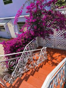 a balcony with purple flowers on a house at The Pelican Key Largo Cottages in Key Largo