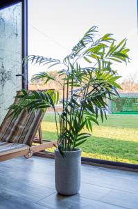Zahrada ubytování Hotel Ub Business & Wellness