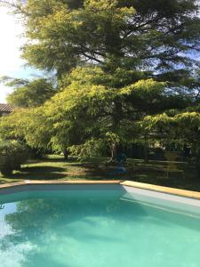 a swimming pool with a tree in a yard at Moulin De Coupigny in Fontenille-Saint-Martin-d'Entraigues