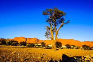 Ein Baum auf einem Feld mit Bergen im Hintergrund in der Unterkunft Namib Desert Campsite in Solitaire