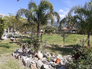 a rock garden with trees and palm trees in a park at agriturismo heaven in Capo Vaticano