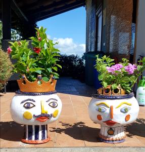 due grandi vasi con fiori in faccia di Almatoscana a Campagnatico