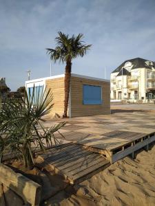 un palmier et un bâtiment sur une plage dans l'établissement Sea View, à Saint-Gilles-Croix-de-Vie