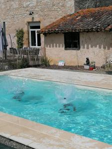 twee dolfijnen zwemmen in een zwembad voor een huis bij A CLAIREFONTAINE in Auch