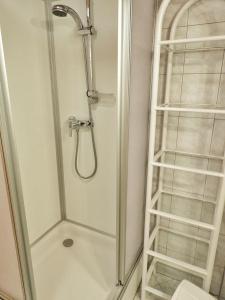 een douche met een glazen deur en een ladder in de badkamer bij Schieplechnerhof in Schladming +78 foto's