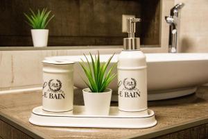 a bathroom counter with two bottles of balm and a plant at SALUS Spreewald - Erholung & Natur - in Kolonie