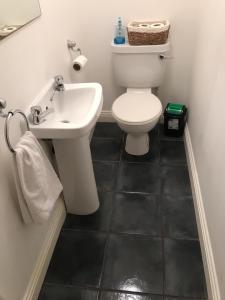 a bathroom with a white toilet and a sink at Waterlane in Galway