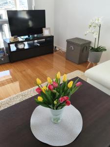 TV a/nebo společenská místnost v ubytování Apartment Moon Island