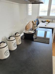 Kuchyň nebo kuchyňský kout v ubytování Apartment Moon Island