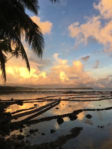 een strand met een palmboom en een zonsondergang bij Nias Kristov Surf Camp in Lagudri