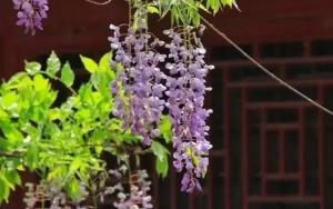 厦门宾馆（中山路万石植物园酒店）外面的花园