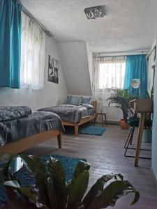 sala de estar con 2 camas y cortinas azules en Ferienhaus am Mattheiser Wald en Tréveris