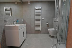 uma casa de banho com um lavatório e um WC em Apartmány Chata Večernice em Dolní Morava
