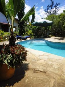 a swimming pool with an umbrella and some plants at Sunset Villa Eco Friendly House in Kilifi