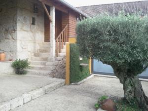 a house with a tree in front of a building at Casa De Santo Andre in Monção