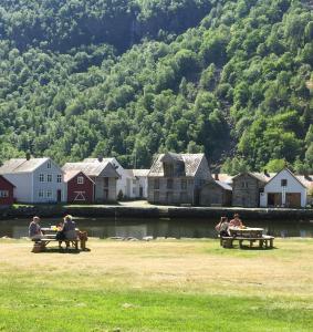 a group of people sitting on picnic tables near a body of water at Old town boutiqe apartments/ Gamle Lærdalsøyri boutique leiligheter in Lærdalsøyri +5 photos