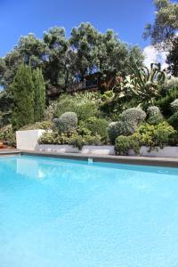 une grande piscine bleue avec des plantes et des arbres dans l'établissement L'Hostellerie du Moulin des Oliviers, à Olmeto