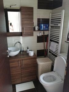uma pequena casa de banho com WC e lavatório em Valnea em Viskovo