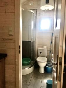 uma casa de banho com um WC e uma cabina de duche em vidro. em FHU Aquarius em Dziwnówek