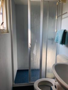 uma casa de banho com um chuveiro, um WC e um lavatório. em Chalet Kocky em Midsland