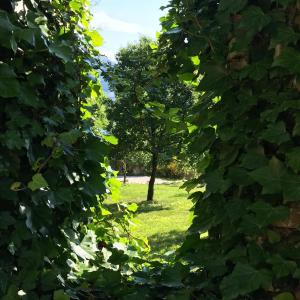 A garden outside Casa Minotti Relais