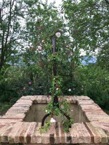 A garden outside Casa Minotti Relais
