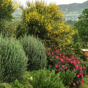 A garden outside Casa Minotti Relais