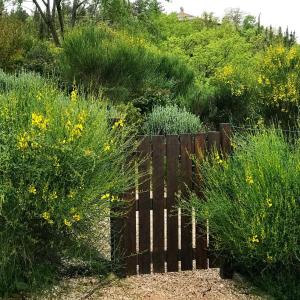 A garden outside Casa Minotti Relais