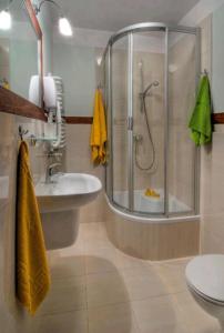 uma casa de banho com um chuveiro e um lavatório. em Villa Baltic -Apartament nr 9 em Chałupy