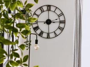 um relógio numa parede com uma planta em Sandalwood Apartment - Saltburn by the Sea em Saltburn-by-the-Sea